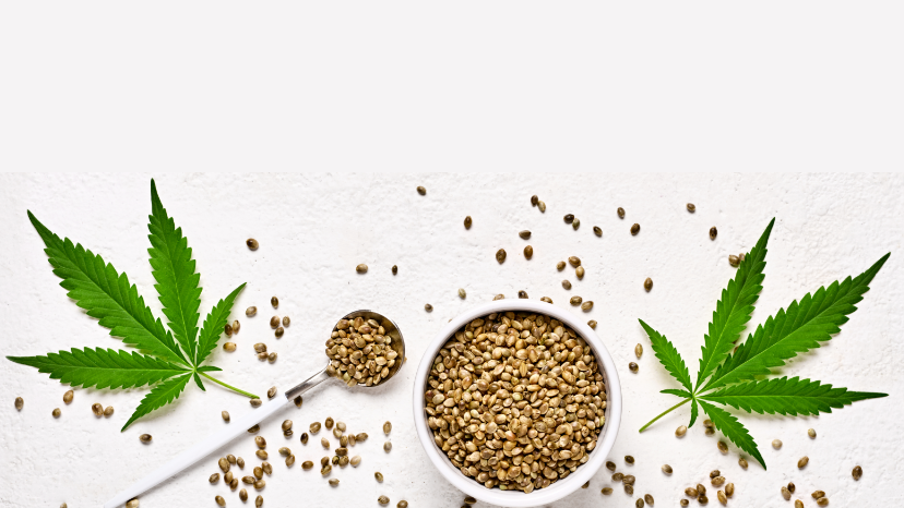 Hemp Oil vs CBD Oil: Understanding the Key Differences