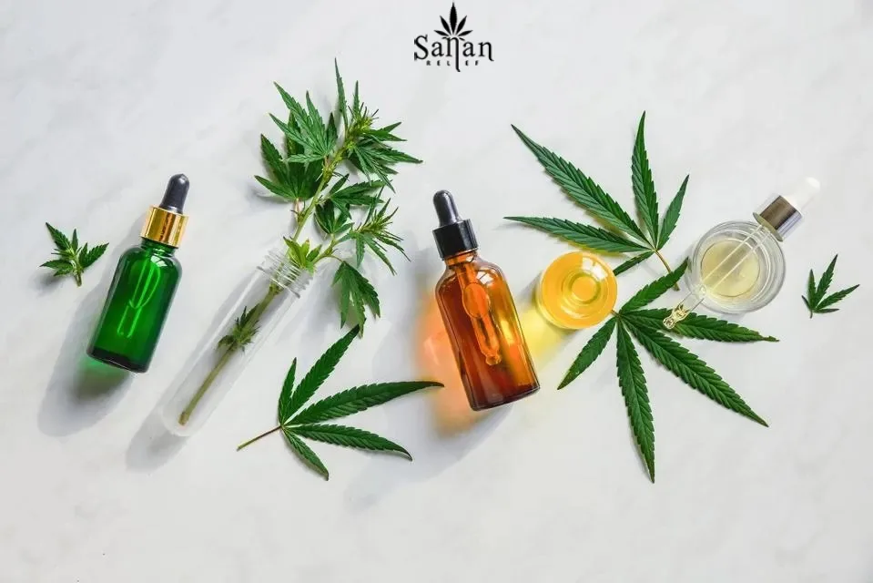 How to Choose the Right CBD Oil for Pain Relief: A Beginner's Guide